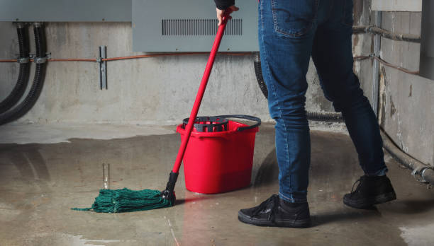 Best Water damage mitigation services  in Marion, OH