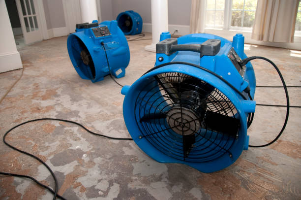 Best Residential water damage restoration  in Marion, OH