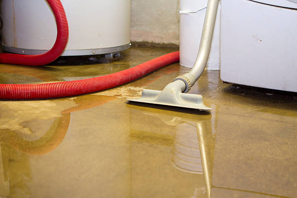 Best Water damage contractors near me  in Marion, OH